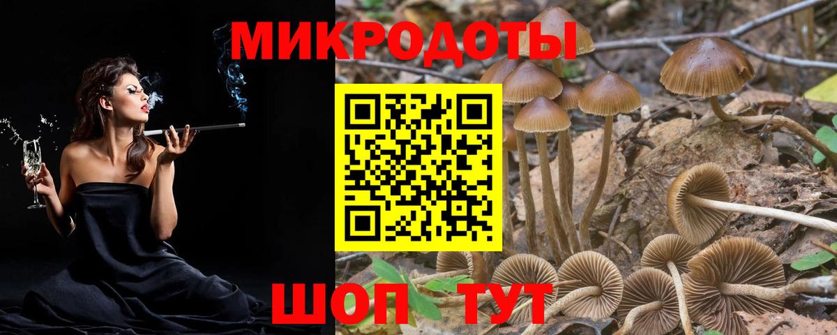 Кандалакша  как найти   Вход с VPN  Псилоцибиновые грибы ЛСД 