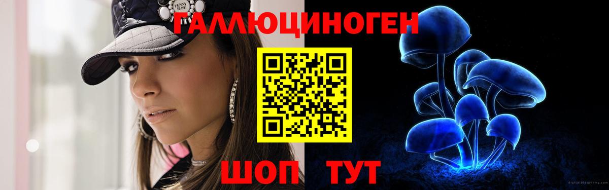 Псилоцибиновые грибы GOLDEN TEACHER Кандалакша